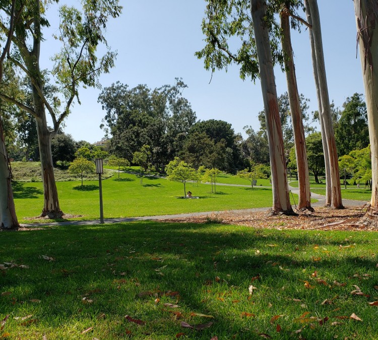 Aldrich Park (Irvine,&nbspCA)